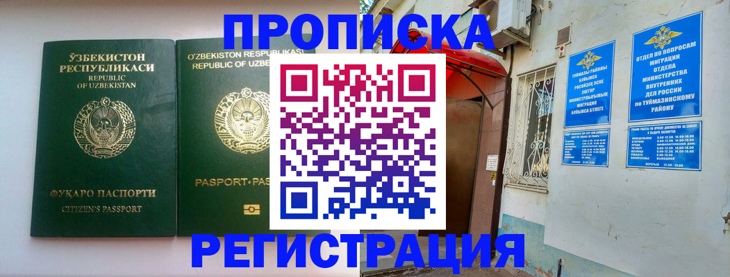 где прописаться в Чистополье